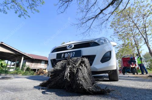 KEMELUT 'TAIK MESIN PADI'