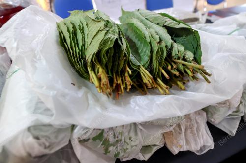 RAMPASAN
