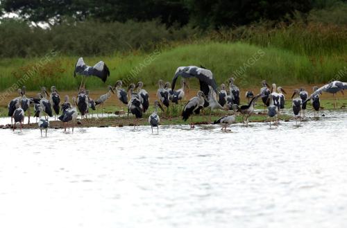 EMPANGAN TIMAH TASOH