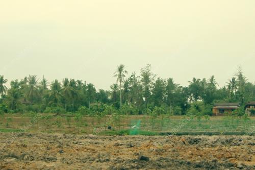 PR01_16042026_PENDUDUK_KETUM