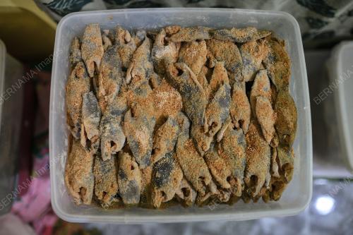 USAHAWAN PEKASAM