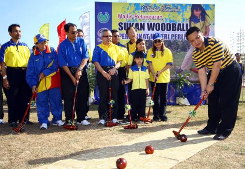 TUANKU SYED FAIZUDDIN PUTRA JAMALULLAIL