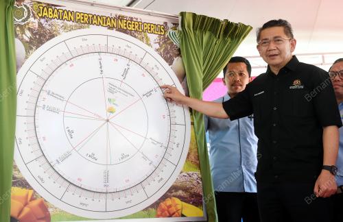 PR01_22022019_SALAHUDDIN_BN201902211239
