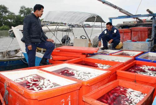 APMM PATAHKAN CUBAAN SELUDUP IKAN