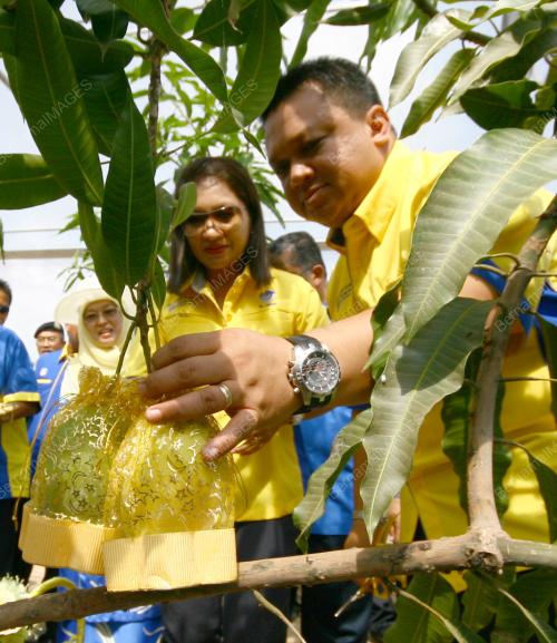 PR01_23052012_AGROTEK