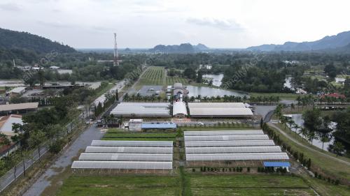 PELANCONGAN DOMESTIK