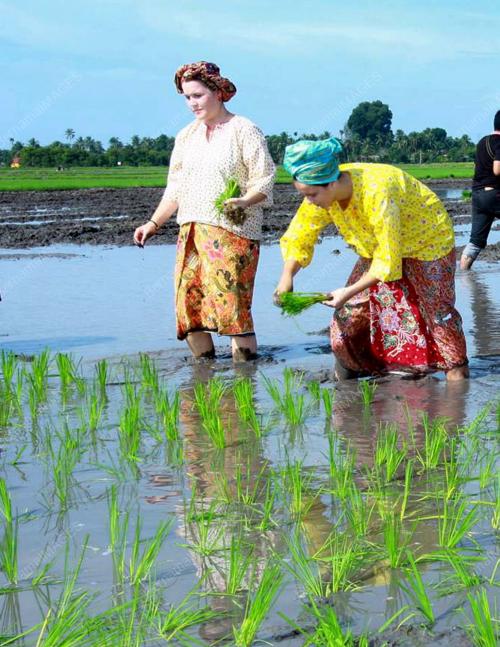 PELAJAR ANTARABANGSA TURUN BENDANG
