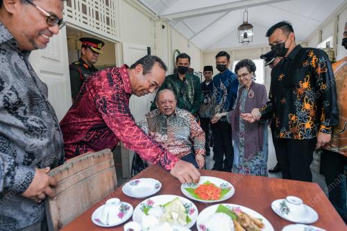 TUANKU SYED SIRAJUDDIN JAMALULLAIL