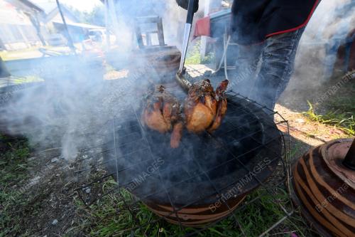 AYAM PASU C'SOM