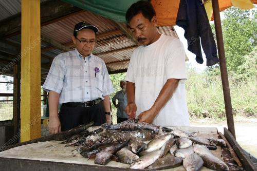 KEMPEN PILIHAN RAYA UMUM