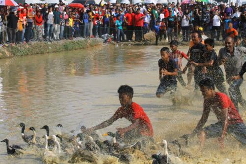 PR02_05032017_ANGIN_TIMUR