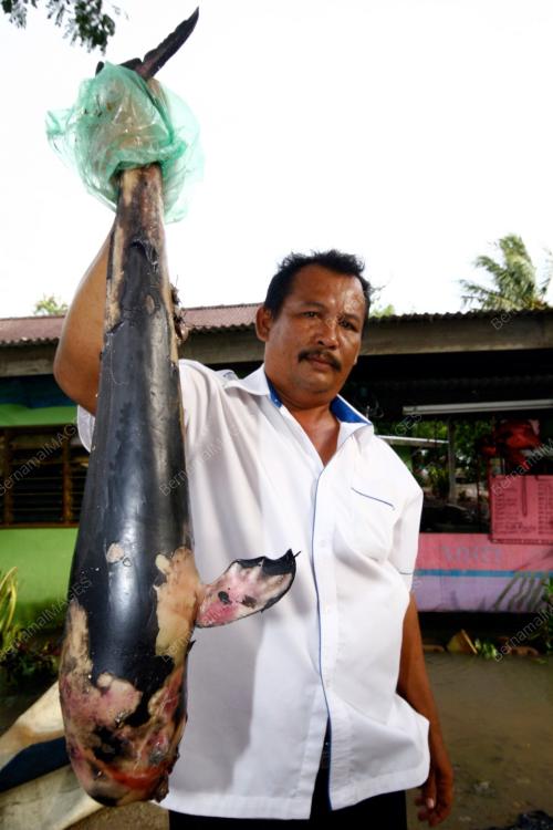 PR02_06062012_IKAN_PAUS