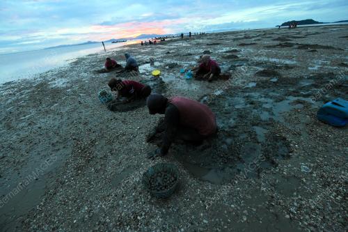 PESISIR PANTAI PULAU KETAM