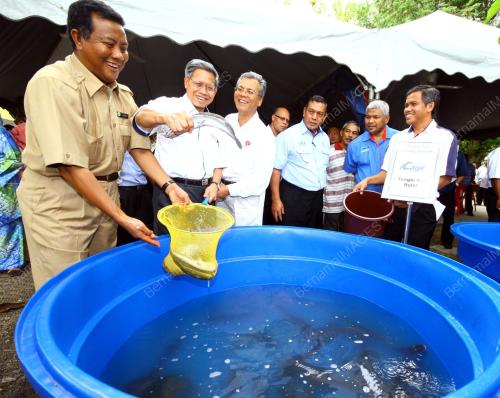 MUSTAPA MOHAMED