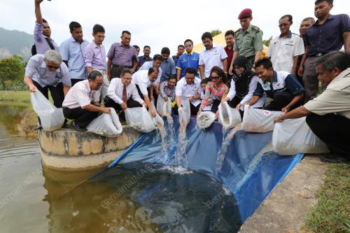 PR02_09042013_IKAN_TALAPIA