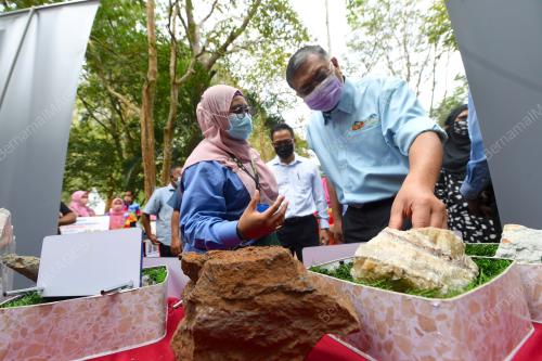 DATUK DR SHAMSUL ANUAR NASARAH