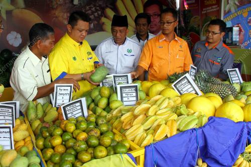PR02_13062014_PELADANG