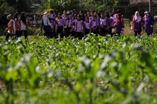 SERVICE_LEARNING