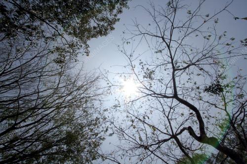 PR02_16032021_DAUN_LURUH