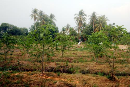PR02_16042026_PENDUDUK_KETUM