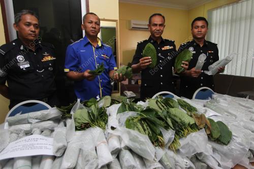 PR02_16062009_RAMPAS_KETUM
