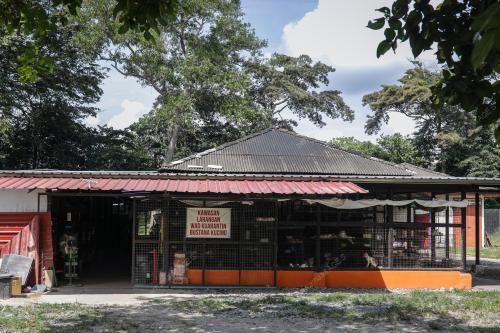 WAD KUARANTIN BUSTANA KUCING