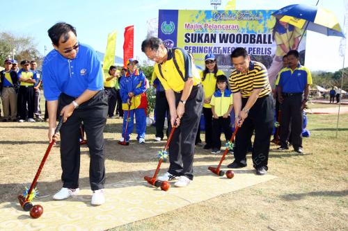 TUANKU SYED FAIZUDDIN PUTRA JAMALULLAIL