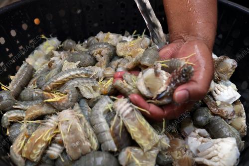 BUBUR LAMBUK UDANG LIPAN