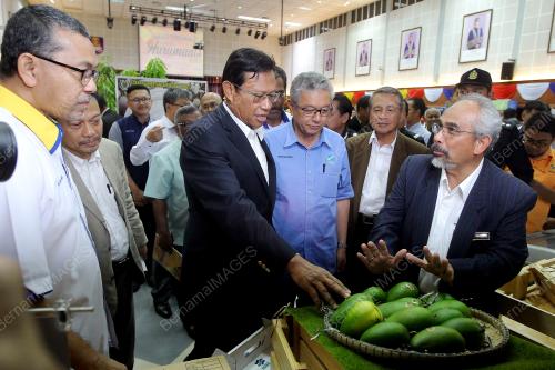 PR02_21112017_BENGKEL_HARUMANIS_BN201711201972