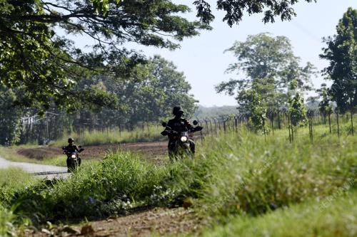PASUKAN GERAKAN AM (PGA)