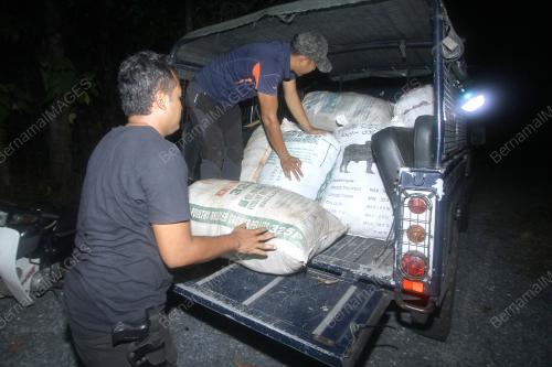 PGA RAMPAS 1000KG DAUN KETUM