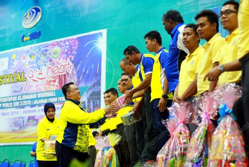 PR02_28032016_POLIS_WOODBALL