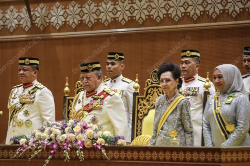 TUANKU SYED SIRAJUDDIN JAMALULLAIL