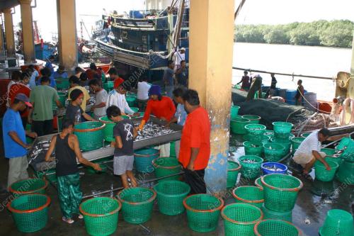 BEKALAN IKAN