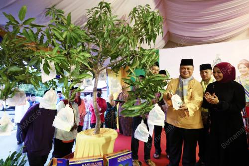 TUANKU SYED FAIZUDDIN PUTRA JAMALULLAIL