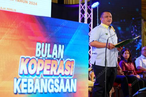TUANKU SYED FAIZUDDIN PUTRA JAMALULLAIL