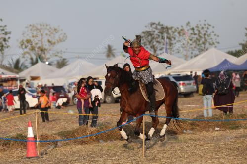 PEMANAH BERKUDA