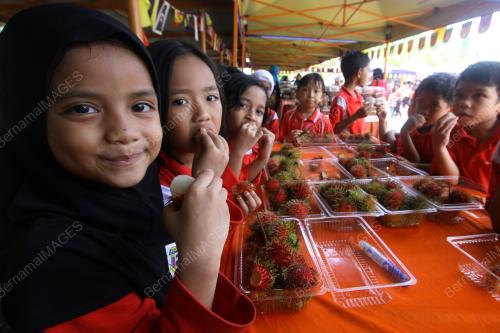 PR03_06082018_BUAH_BN201808034895