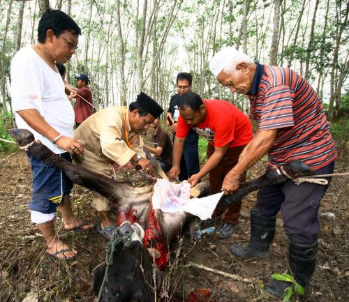 ANGGOTA MEDIA PERLIS ADAKAN KORBAN