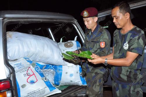 PR03_12072017_PGA_KETUM_BN201707129296