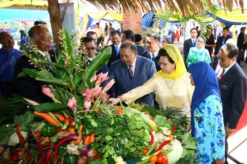 TUANKU SYED SIRAJUDDIN PUTRA JAMALULLAIL