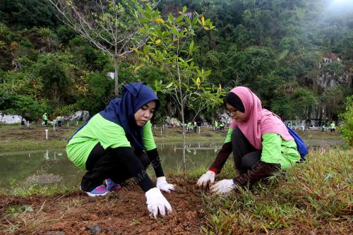 PR03_16012016_TREE_FOR_TREE