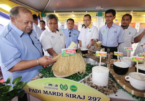 PR03_16022004_PADI_SIRAJ