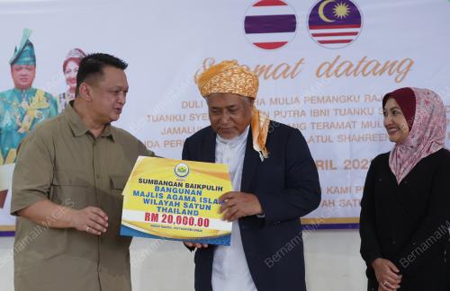 TUANKU SYED FAIZUDDIN PUTRA JAMALULLAIL