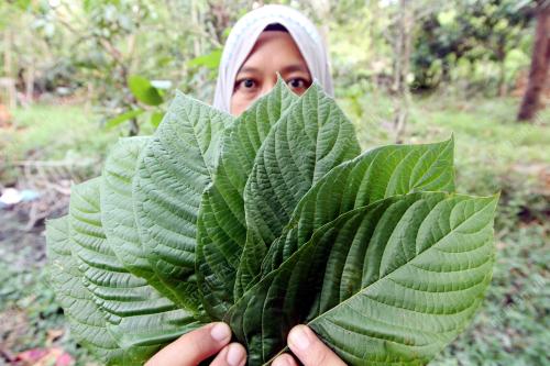 PR03_16042026_PENDUDUK_KETUM