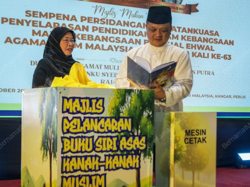 TUANKU SYED FAIZUDDIN PUTRA JAMALULLAIL