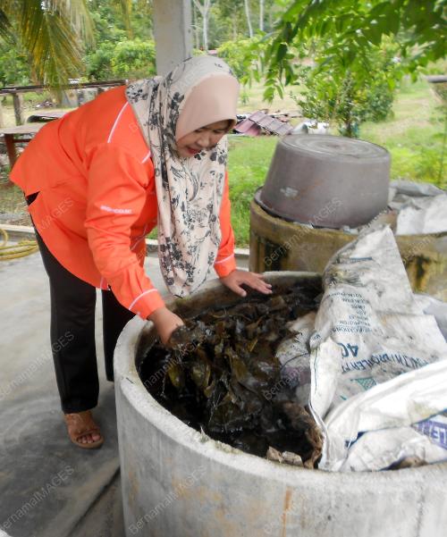 PR03_17012019_DAUN_GETAH