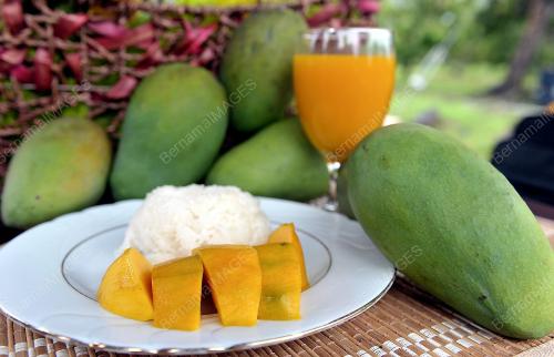 PR03_18042013_MANGGA