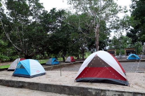INSTITUT PENYELIDIKAN PERHUTANAN MALAYSIA (FRIM)