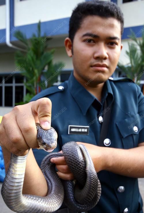 RAMPASAN